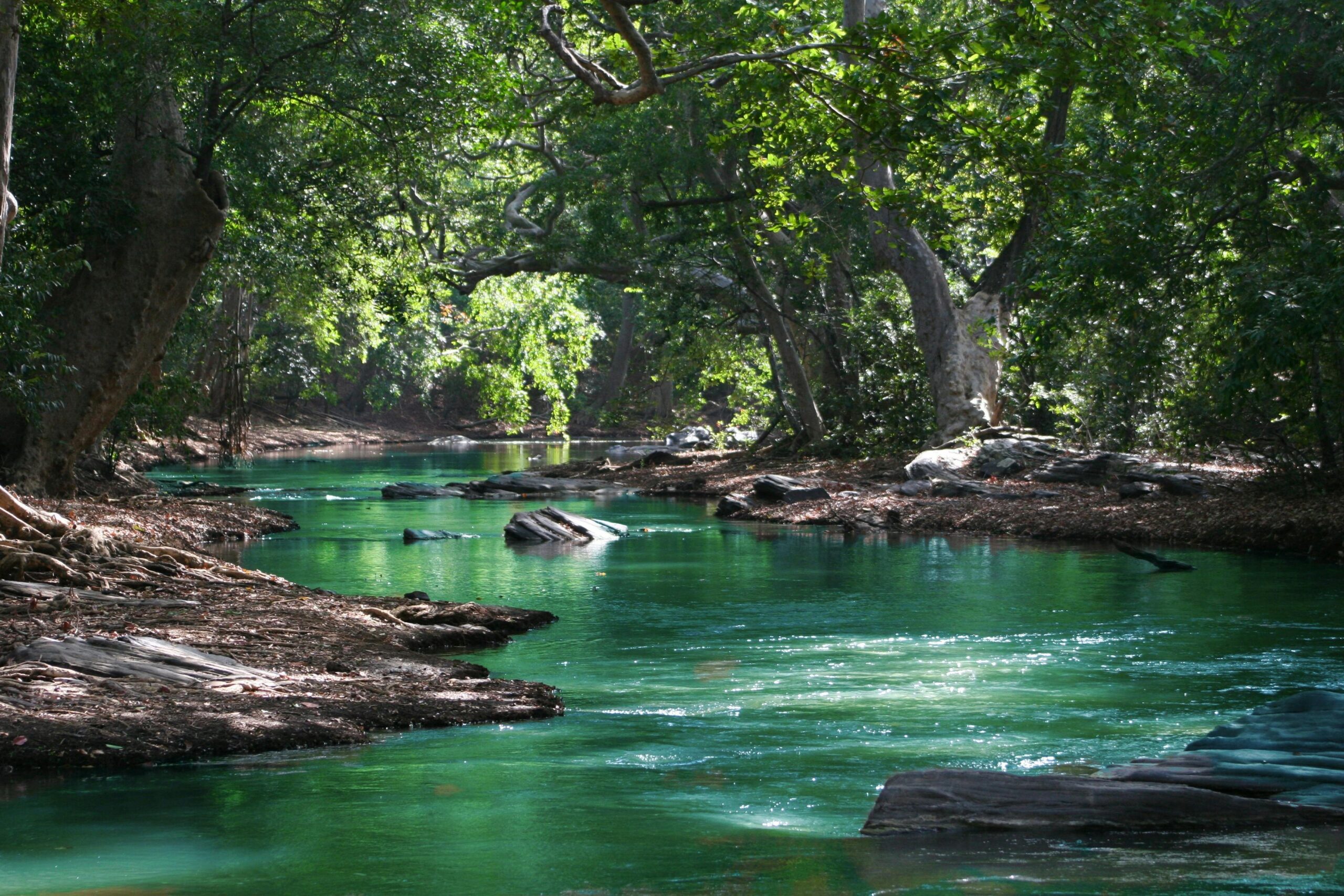 El Oro Azul: Estrategias Innovadoras para la Conservación del Agua en la Agricultura